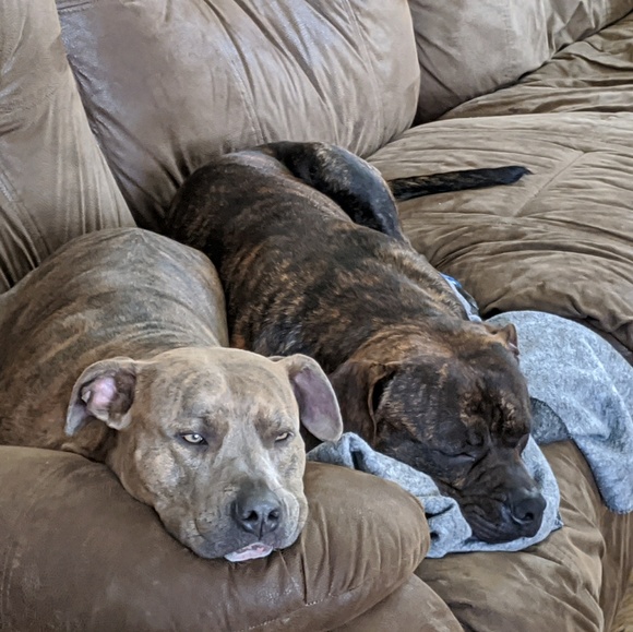 Meet your Posher, Shannon - Picture 1 of 1